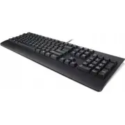 Lenovo tastatūra Usb Trdtnl Kb Bk Ger Klawiatura Keyboard