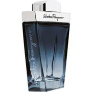 Salvatore Ferragamo Subtil Edt 100 ml