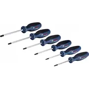 Bosch Torx Skrūvgriežu Komplekts 6 Gab. Zestaw Szt.
