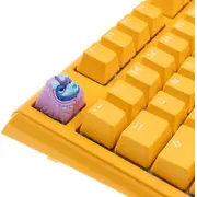Ducky x Hotkeys League Aqua Duck