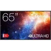 monitors H1F2C0Fbw101 Monitor Optoma N3651K