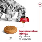 Royal Canin Shn Medium Adult Bf 15 kg