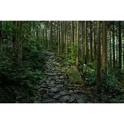 Sony E F/22 objektīvs Obiektyw mm
