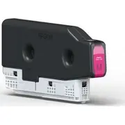 Epson tintes oriģināls ievietošana C13T08N340 daudzkrāsains Magenta Tusz Oryginalny Atramentowy Wielokolorowy