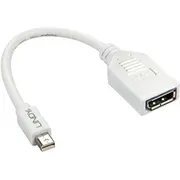 Lindy Displayport Mini Av adapteris  balts 41021 Adapter