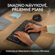 Logitech Wave Keys tastatūra 920-012307 Klawiatura