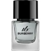 Burberry kungs. Edt aerosols 50Ml Mr. spray
