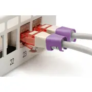 Digitus Farbclips für Patchkabel 100 Stk. Vijolīte Violett