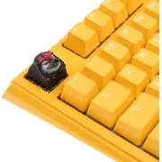 Ducky x Hotkeys League Aqua Duck Dark Edition