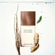 Issey Miyake lEau dIssey Pour Homme Vetiver Edt aerosols 100Ml Spray