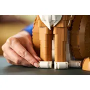 Lego Ideas 21376 Sarkanais kaķis Rudy kot