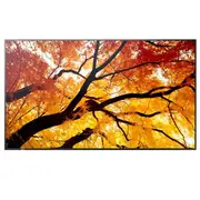 Nec monitora Multisync M502 ekrāns Monitor Ekran