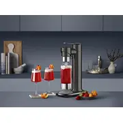 Piesātinātāja salvija Infizz Fusion pelēkā krāsā Saturator Sage The Sca800Nre Szary