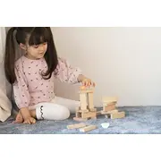 Classic World Izglītojoša spēle Putnu sakraušana Gra Edukacyjna