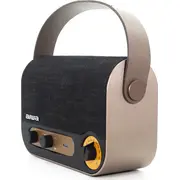 Aiwa Radio Vintage portatīvais skaļrunis un radio Rbtu-600 Stylu