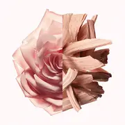 Givenchy neatvairāmais kails samta edp aerosols 50Ml Irresistible Nude Velvet Edp spray