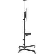 Aprīkot grīdas statīvu 37-70/1Tft 70Kg Economy sw Equip Stojak