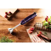 Blenderis Berlinger Haus Rokas Bh-9381 Blender