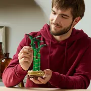 Lego Botanicals Dracaena sandera 10344 Dracena