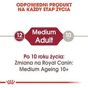 Royal Canin Karma Shn vidējs pieaugušajiem ar sosie 10X140G Medium Adult