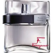 Salvatore Ferragamo F no Pour Homme Edt 100 ml By