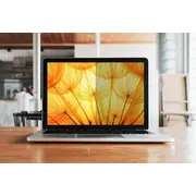 3M Bpnde001 displeja konfidencialitātes filtrs Filtr Display Privacy
