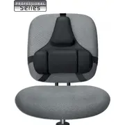 Fellowes Professional sērijas atzveltnes statīvs  Pod plecy Series