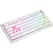 Savio Fenix Gateron Red Pro tastatūra White Gat Klawiatura Phenix