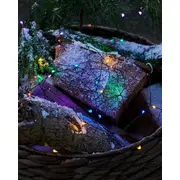 Sirius Home 30751. 40 lampas. Led. Multi. Iekštelpu/Āra. Daudzkrāsains. Baterija Lamps. Indoor/Outdoor. Multicolour. Battery