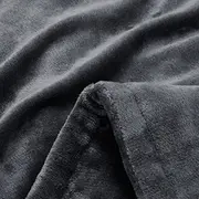 Vitalpeak apsildāmā sega 180X130Cm Hb130 heated blanket