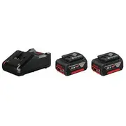 Bosch Professional 2X 4.0Ah  Gal 18V-40 1600A019S0 3165140967969