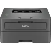 Brother Hl-L2402D Hll2402Dyj1  4977766831208