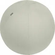 Leitz Ergo Sitting Ball 65Cm Light Gray  65420085 4002432134762