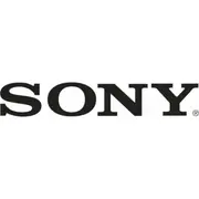 Sony Battery Rechargeable  5711045077302