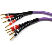 Kabel Melodika Banan x4 - 3M fioletowy  05907609000361