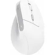 Trust Bayo Ii - Ergonomic Wireless Mouse White  25398 8713439253986
