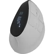 Natec Euphonie Pro  Nmy-2378 5901969449969 My-B-Nat-060