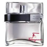 Salvatore Ferragamo F by Pour Homme Edt 100 ml  8032529115653 8032529115660
