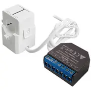 Shelly Set Em  50A Transformer Energy measurment Em50A 062272
