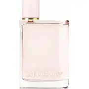 Burberry Edp 100 ml  3614227693876