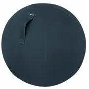 Leitz Ergo Cosy Ball Grey  52790089 4002432129546 Ap-Fog-Ltz-003
