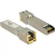 Delock adapter Sfp  module 10G / Rj45 - 10Gbase-T 86460 4043619864607