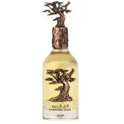 Lattafa Eternal Oud edp 100Ml  6291108738115