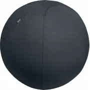 Leitz Ergo Sitting Ball 75Cm Gray  65430089 4002432134793 20865564433