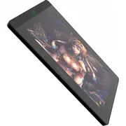 graficzny Bosto Graphic  Bt-13Hdkt Bt-13Hdk-T 6972288300476