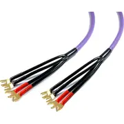 Kabel Melodika Widły - 7.5M fioletowy  5907609005564