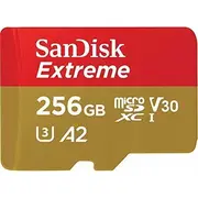 Karta Sandisk Extreme Sdxc 256 Gb Uhs-I/U3 V30 Sdsqxav-256G-Gn6Gn  619659188498