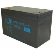 Mw Power Akumulator 12V/120Ah Mwp120-12H  5902135121313