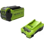 Greenworks 40 V zestaw ładowarka 2 A  akumulator 4 Ah Gsk40B4 Gr2945707 6952909078861