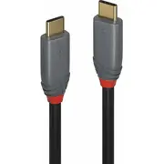 Kabel Usb Lindy Usb-C - 2 m Black 36903  4002888369039